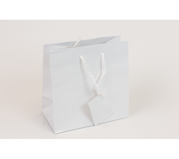 Glossy Tote Bag with Rope Handles (White) 6" x 3" x 6"